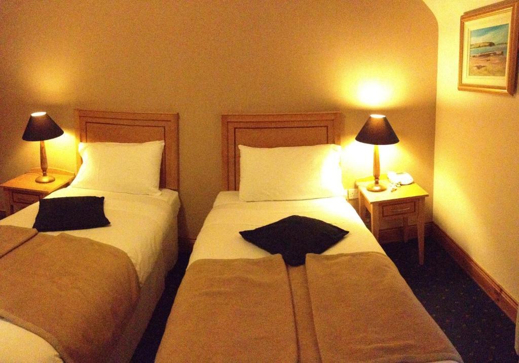 Virginia'S Guesthouse Kenmare Δωμάτιο φωτογραφία