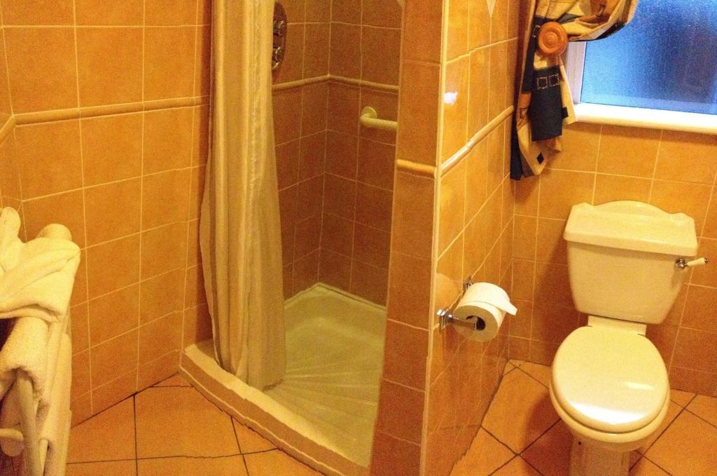 Virginia'S Guesthouse Kenmare Δωμάτιο φωτογραφία